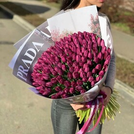 101 тюльпан в фиолетовом оттенке