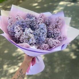 Букет из сирени