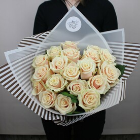 МОНО 26