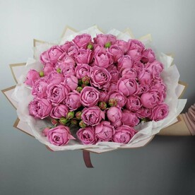 Мисти Баблс х25