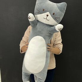 Кот обнимашки