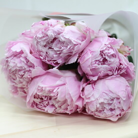🥰Букет из 5 пион💐🥰