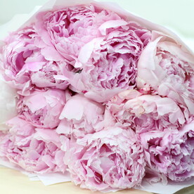 🥰Букет из 11 пион💐