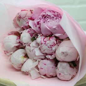 🥰Букет из 11 пион💐