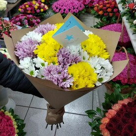 Хризантема кустовая, Крафт