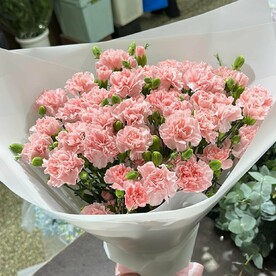 💐 Букет 29 кустовых диантусов 🎀 Нежность и элегантность 🌸