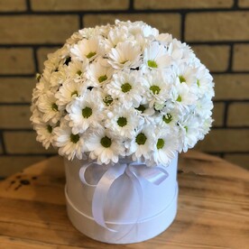Хризантема кустовая, Шляпная коробка, Флористическая губка