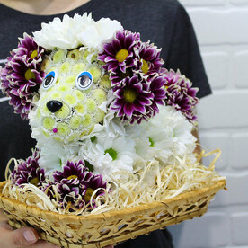 Хризантема кустовая, Флористическая губка, Глазки, Нос, Корзина