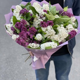 Букет из 19 сирень 💐💐💐🎁🎁🎁🎁🥰🥰😍😍✅