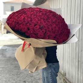 Роза шт, Крафт шт, шт
