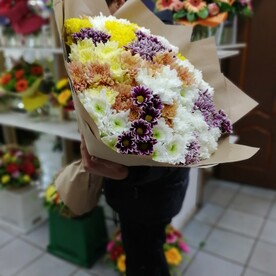 Хризантема кустовая шт, Крафт шт, шт