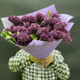 Букет из 11 сирень 💙❤️❤️😍🌹🌹💕💕💕