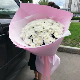 Хризантема кустовая, Фоамиран