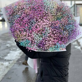 Гипсофила шт, Упаковка шт, шт