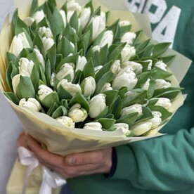 51 белых тюльпанов отличный подарок!