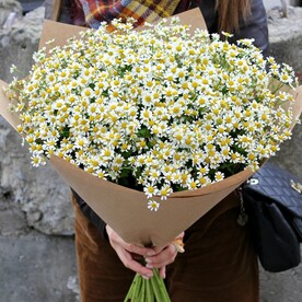 Букет из 25 ромашек в крафт