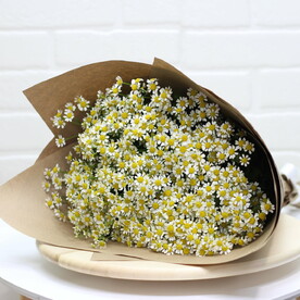 🌸Букет из 25 ромашек 🌸