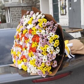 Сантини шт, Роза кустовая шт, Крафт шт, шт