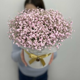 Коробка из розовой гипсофилы