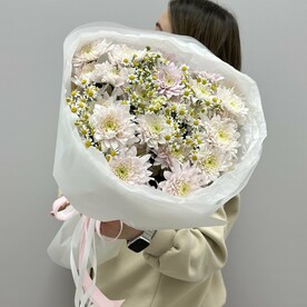 Танацетум, Хризантема кустовая, Дизайнерская упаковка