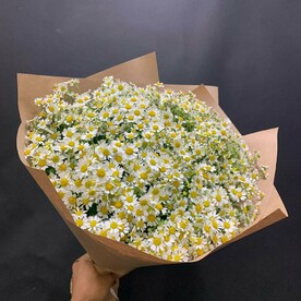 Букет из 25 ромашек