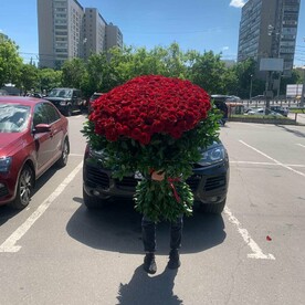 Букет из 201 розы