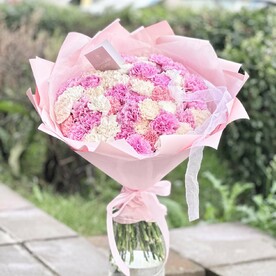 51 нежная гвоздика