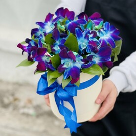 Орхидея, Рускус, Удлинители, Шляпная коробка, Флористическая губка