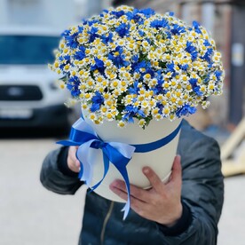 Коробка ромашек и васильков