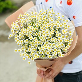 Ароматные ромашки