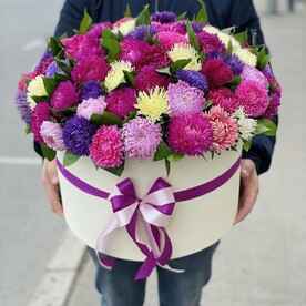 Коробка из 101 Астры