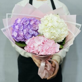 Гортензия. Букет Гортензий . Гортензия микс