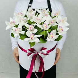 Орхидея, Рускус, Оазис, Коробка