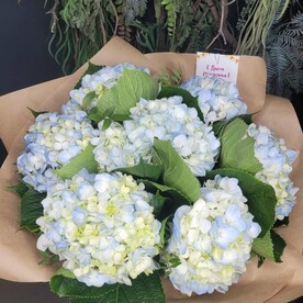 7 гортензий в оформлении🌺