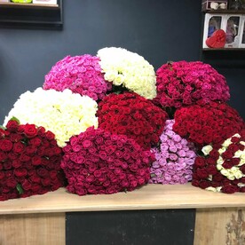 Тысяча роз🌺