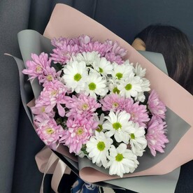 Хризантема🌸