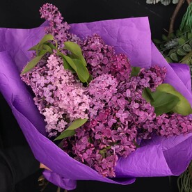 Сирень🌸
