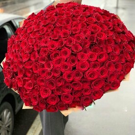 Красная роза 201 шт🌸