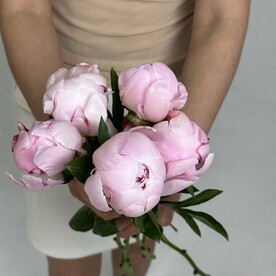 5 пионов🌸