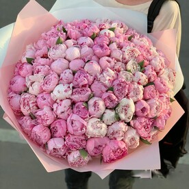101 пион🌸