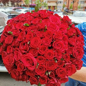 101 роза🌸