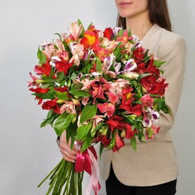 Альстромерия, 25 штук