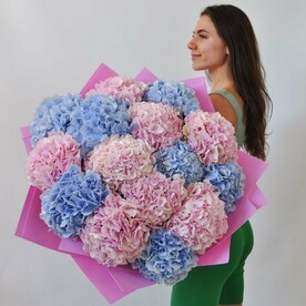 Гортензия крупная, 15 штук. Букет - гигант