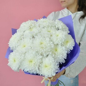 15 сортовых хризантем