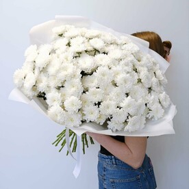 Хризантемы белые пушистые, 25 штучек