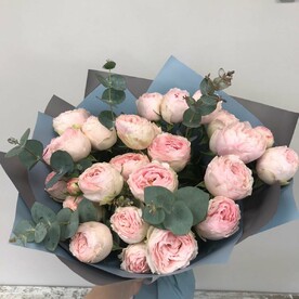 Роза кустовая, Эвкалипт
