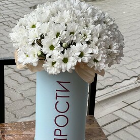 Коробочка прости