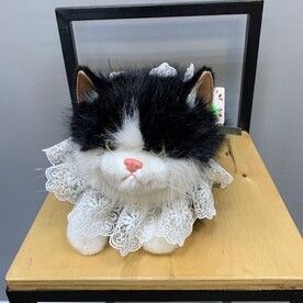 Кошка Маркиза