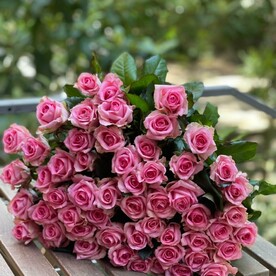 51 розовая роза