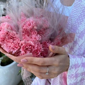 Гвоздика одноголовая, Ковыль, Тишью